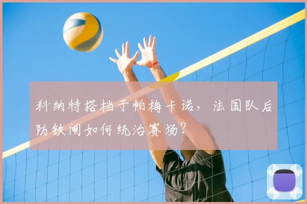 科纳特搭档于帕梅卡诺，法国队后防铁闸如何统治赛场？